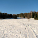 IMG 0423 1