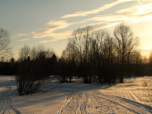IMG 0474 1.jpg