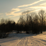 IMG 0474 1
