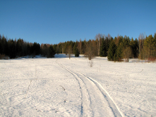 IMG 0425 1.jpg