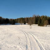 IMG 0425 1