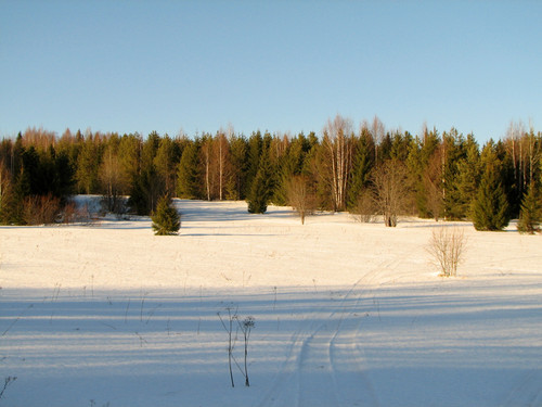 IMG 0430 1.jpg