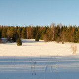 IMG 0430 1