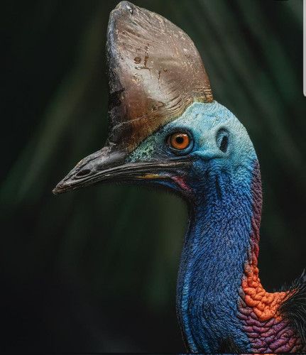 GnBbaFhXoAE99qm.jpg
