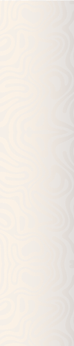 Artboard 14.png