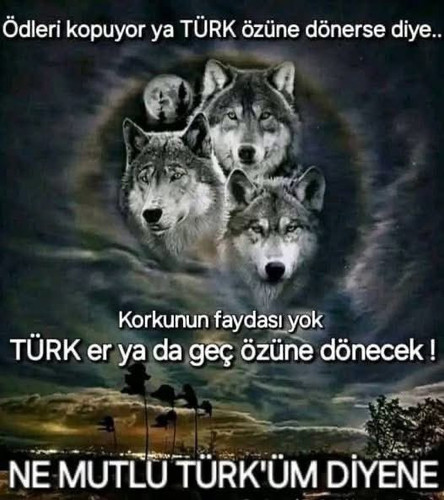 GnCpZGNXwAA KPT.jpg