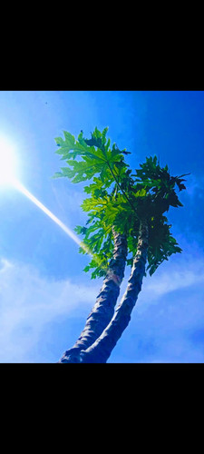 Screenshot 20250327 234327~2.jpg