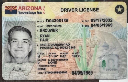 Ryan Paul Brouwer license image.jpg