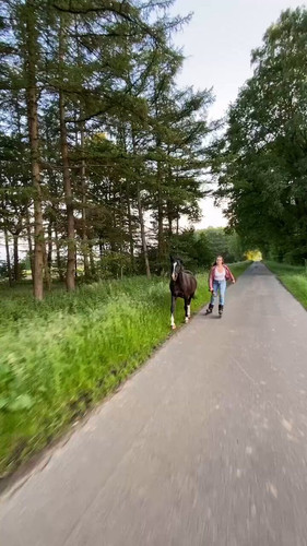 w9DnGluIQivjhl8 .jpg