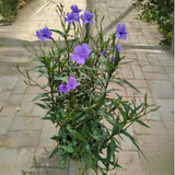 5d288d51 1463 4146 bd72 b6dbc4bdccad