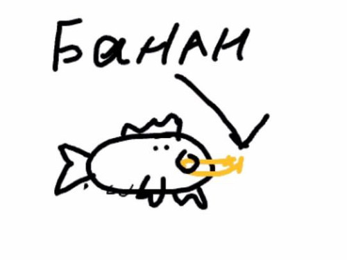 IMG 20250328 171848 493.jpg