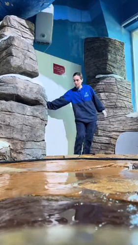 7 qDd1FVScaElBqH.jpg