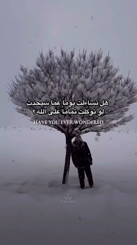 FDvLFnGV CeH9H0v.jpg