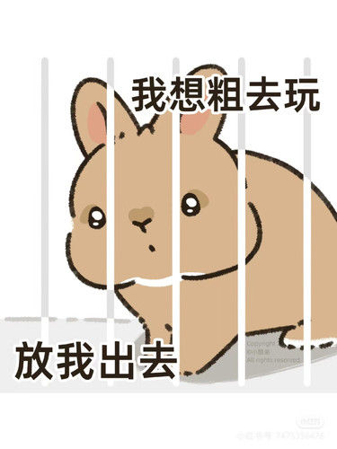 Camera XHS 17431337041471040g00831fi8q77vg26g5p1arr9l243v2qqrvo8.jpg