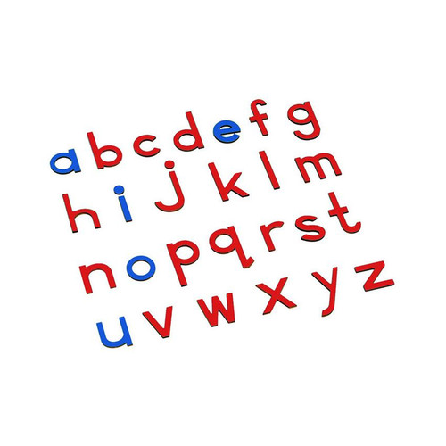 Lowercase Small Movable Alphabet - Blue & Red.jpg