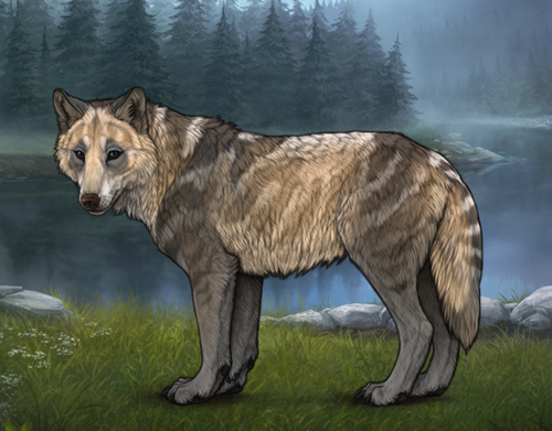 E4F43AF8 7B42 4CFD B809 C21A45E6D5EC.png