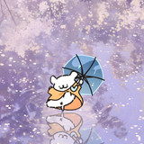 mmexport1743133240848