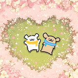 mmexport1743132726269