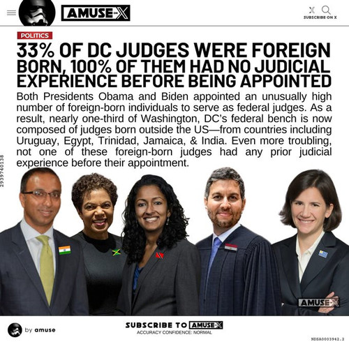 judges.jpg