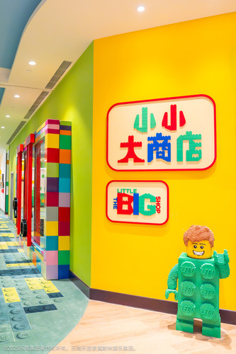 THE LITTLE BIG SHOP.jpg