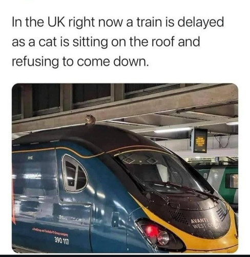 486662621 122146831202466584 3958628926988483779 n.jpg