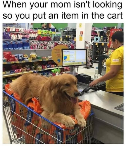 486845884 1182427846584277 7358444258135464726 n.jpg