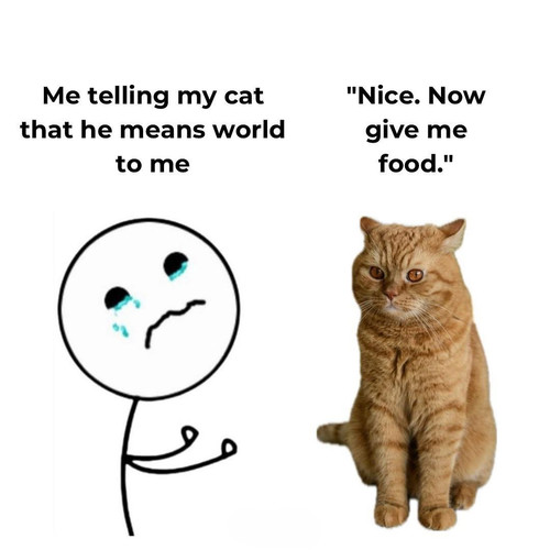 485407465 1039464274870459 3896400108951233802 n.jpg