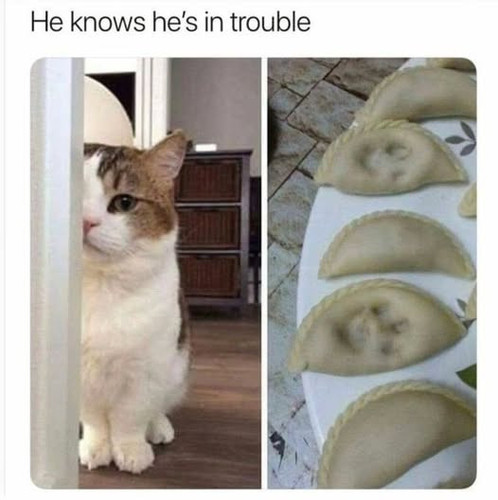 486622941 1194992578650506 7615863673075086169 n.jpg