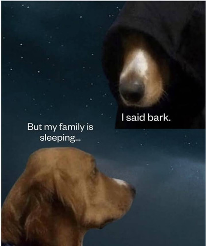 486157889 1179255286901533 3620934711733038308 n.jpg