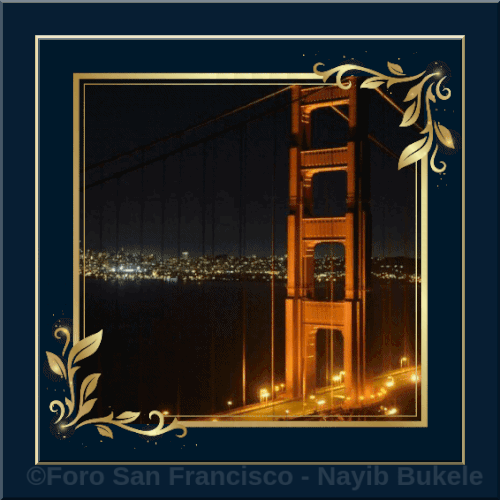 17431366222526052 (1).gif