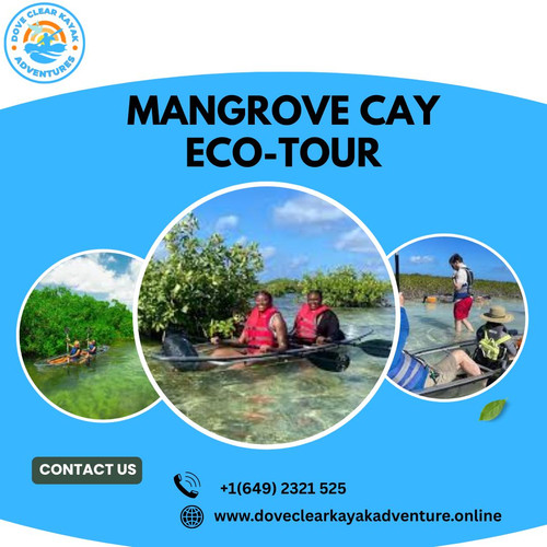 Explore Nature’s Hidden Gem with Dove Clear Kayak Adventures’ Mangrove Cay Eco Tour.jpg
