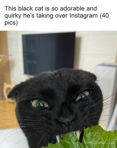 ecf71951 7810 4c9c bfbb 5e4189299d10.png