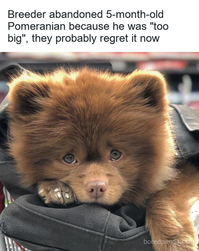 0a228ea1 3fd1 4f2b a6e9 d97d59d761f2.png