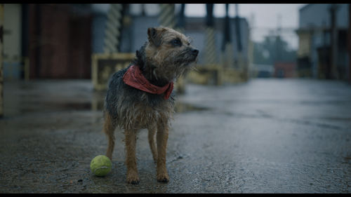 Snímka obrazovky 2025 03 27 192433.png