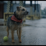 Snímka obrazovky 2025 03 27 192433