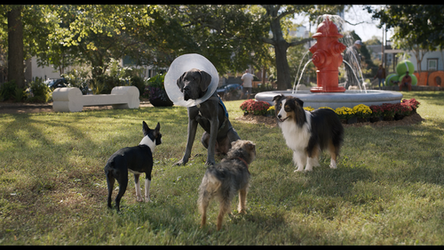 Snímka obrazovky 2025 03 27 192443.png