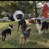 Snímka obrazovky 2025 03 27 192443