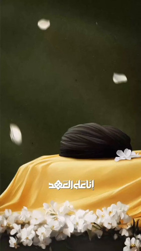 DA3JVvZ 6Z6sR hs.jpg