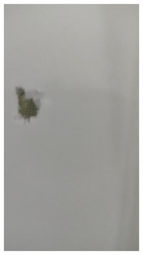 20250327 205020 COLLAGE.jpg