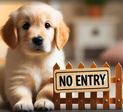 pup.jpg