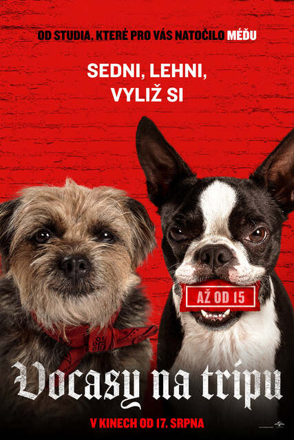 oie 271921532WLkTMVy.jpg