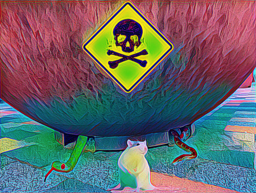 D4BE523A C4D3 4F78 909D A94F28D89B8B.jpg