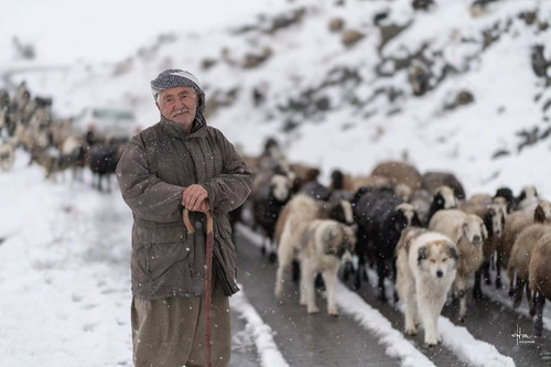 GkJ 3ceXEAAEWaX?format=jpg.jpg