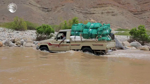 p NULqcOxdrbX8 3.jpg