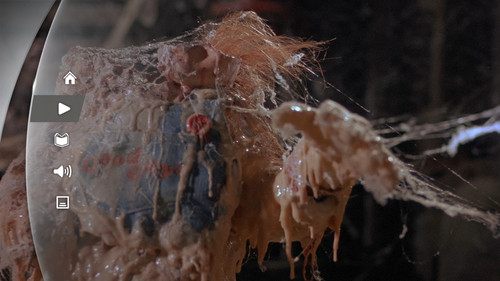 photo 5 2025 03 27 14 02 31.jpg