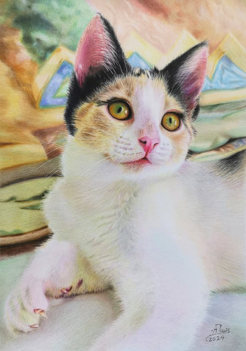 FB IMG 1743104444616.jpg