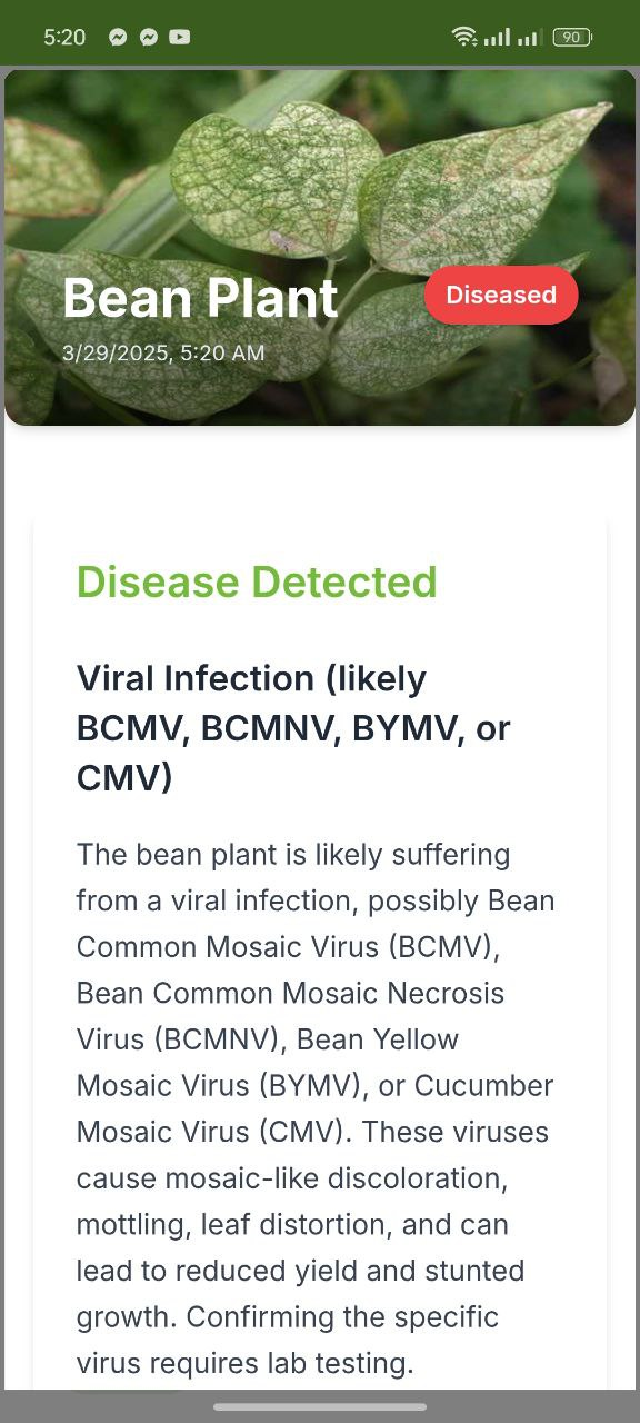 CropCare Disease Detected Result