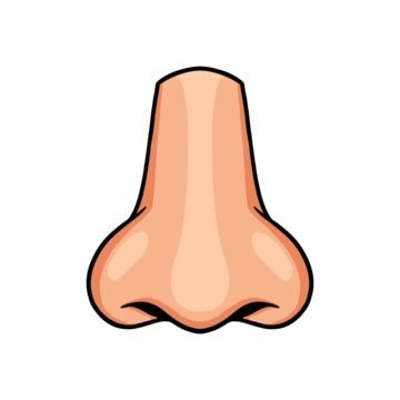 Hidung.jpg
