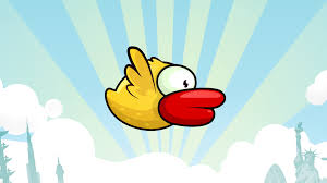 bird.jpg
