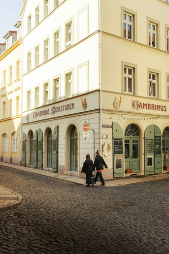 pexels nikitapishchugin 31313207.jpg